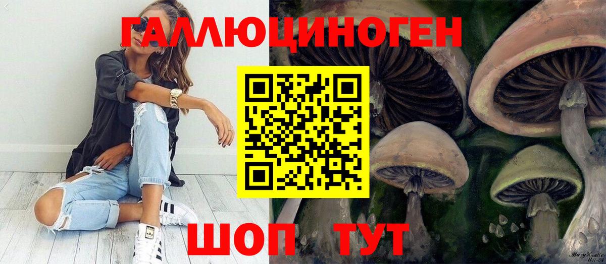 Псилоцибиновые грибы Cubensis  Вход с VPN  Томск 