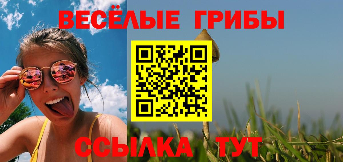 Галлюциногенные грибы мухоморы Томск
